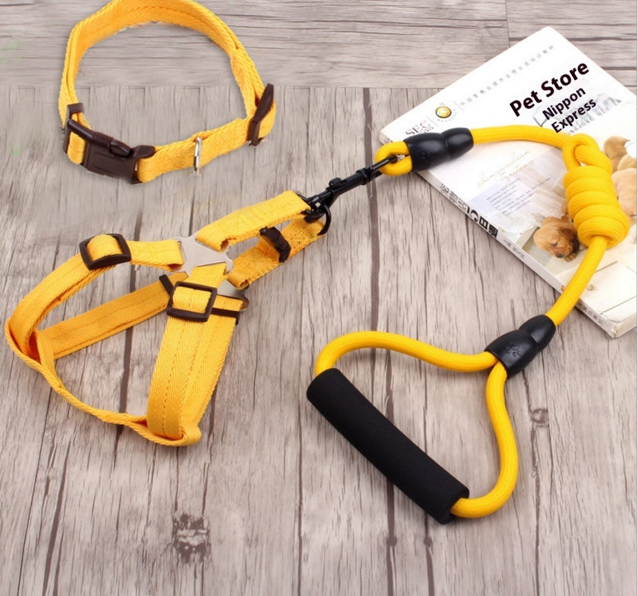KFX-9750589 Multi-Style Pet Harness and Collar Set with Adjustable Leashes