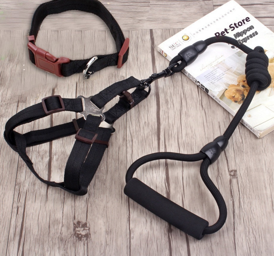 KFX-9750589 Multi-Style Pet Harness and Collar Set with Adjustable Leashes