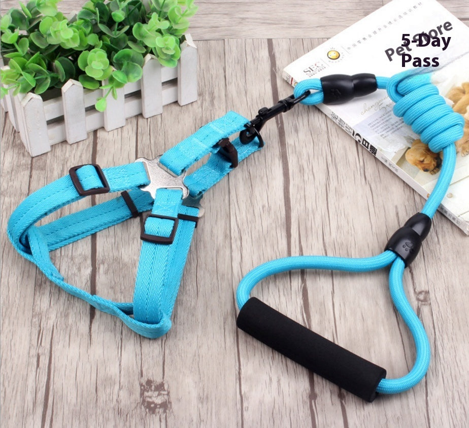 KFX-9750589 Multi-Style Pet Harness and Collar Set with Adjustable Leashes