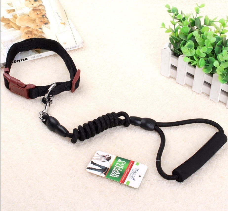 KFX-9750589 Multi-Style Pet Harness and Collar Set with Adjustable Leashes