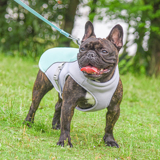 KFX-9754045 Breathable Mesh Cooling Vest for Pets - Multiple Colors and Sizes Available