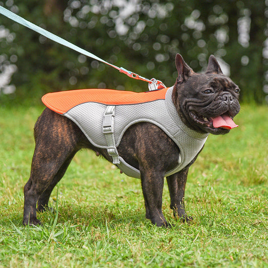 KFX-9754045 Breathable Mesh Cooling Vest for Pets - Multiple Colors and Sizes Available