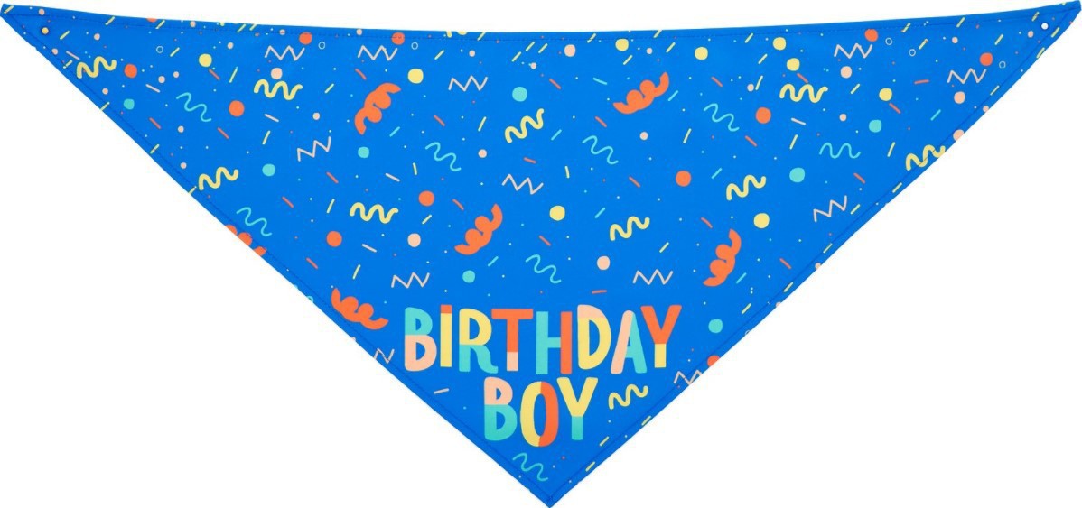 KFX-9755197 Pet Triangle Scarf and Birthday Toy Bone Set - Soft Cotton Polyester, Durable, Washable