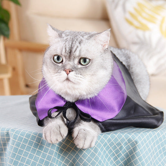 KFX-9764925 Magic Wizard Hat and Cloak Set for Pets – Adjustable Black Autumn Cashmere for Cats and Dogs