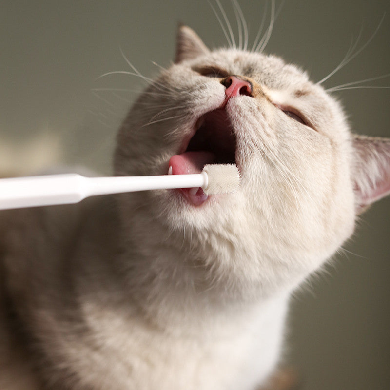 KFX-9782973 360-Degree Pet Toothbrush for Dogs and Cats - Effective Oral Cleaning and Bad Breath Prevention