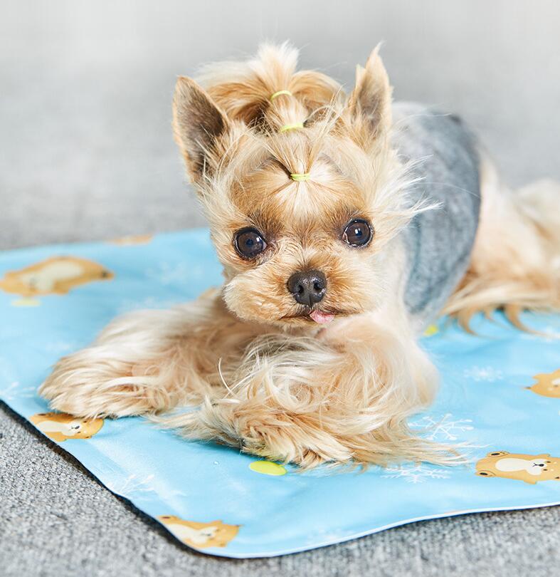 KFX-9783229 Cooling Pet Mat for Cats and Small Dogs - PVC Polyester Cloth with Soft Ice Gel Filling, 30x40cm