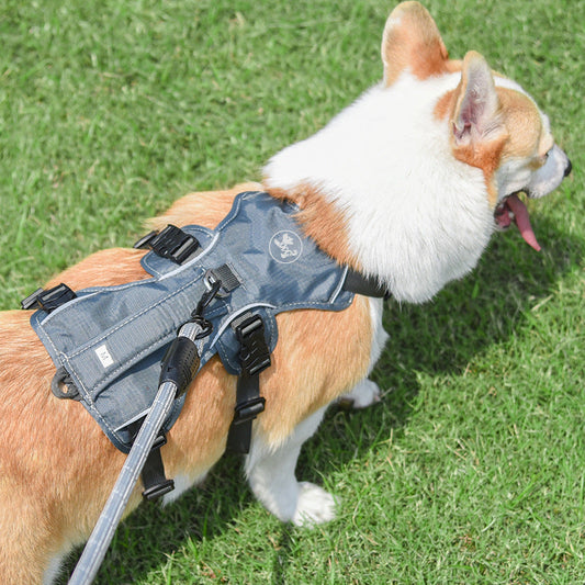 KFX-9792189 Adjustable Nylon Pet Harness with Reflective Round Rope for Dogs