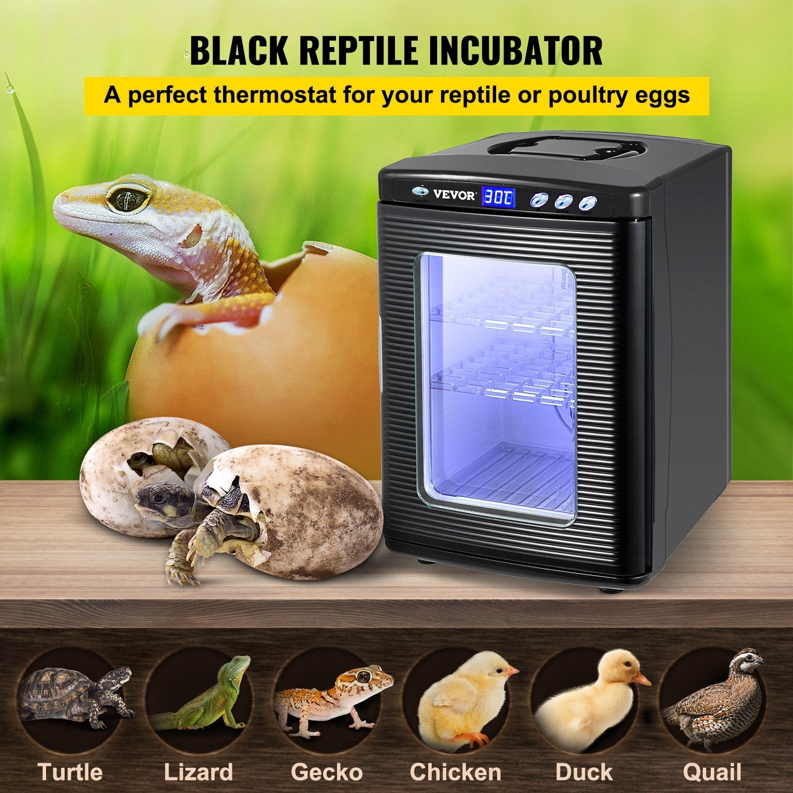 KFX-9796925 Digital Reptile Egg Incubator with Adjustable Temperature 5-42°C and 25L Capacity for Small Reptiles
