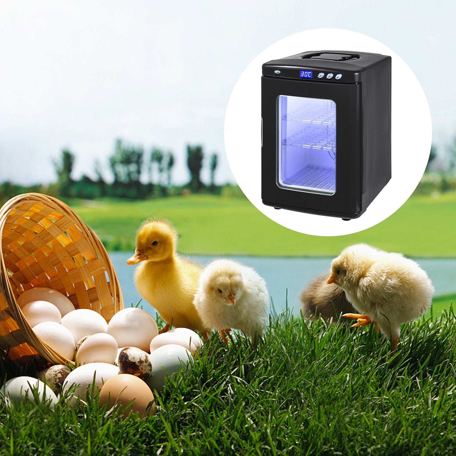 KFX-9796925 Digital Reptile Egg Incubator with Adjustable Temperature 5-42°C and 25L Capacity for Small Reptiles