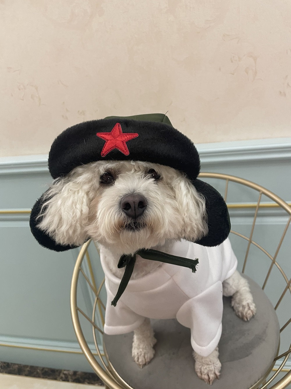 KFX-9808957 Cotton Thickened Pet Outfit with Hat for Dogs and Cats in Green