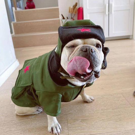 KFX-9808957 Cotton Thickened Pet Outfit with Hat for Dogs and Cats in Green