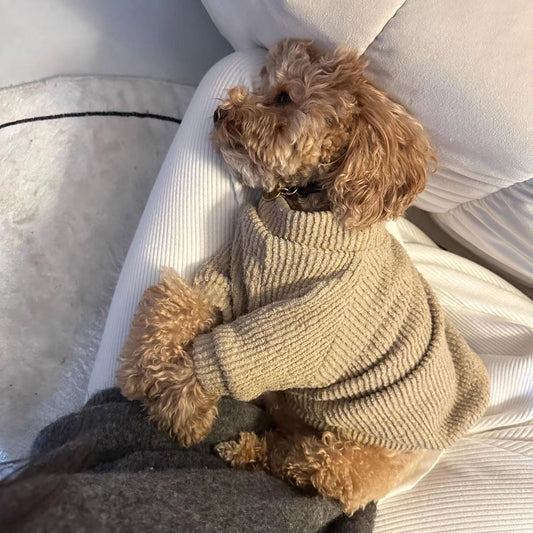 KFX-9817917 Warm Brown Dog Sweater Pullover for Small Breeds like Bichon, Pomeranian, and Schnauzer