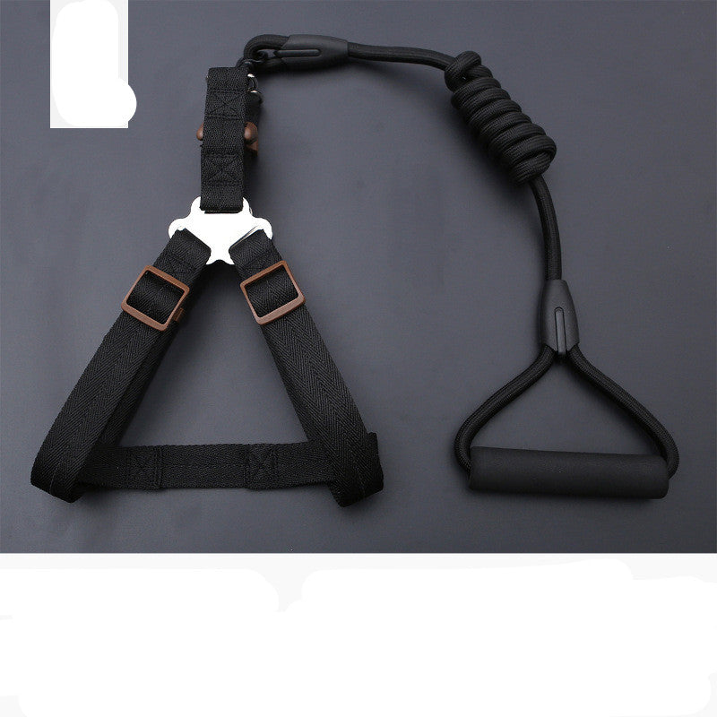 KFX-9819197 Rainbow Series Round Rope Chest and Back Collar for Dogs - Multiple Colors Available