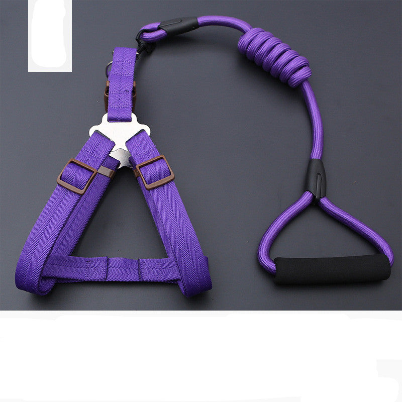 KFX-9819197 Rainbow Series Round Rope Chest and Back Collar for Dogs - Multiple Colors Available