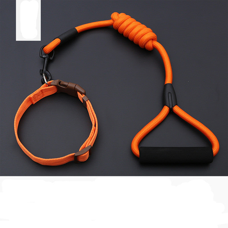 KFX-9819197 Rainbow Series Round Rope Chest and Back Collar for Dogs - Multiple Colors Available