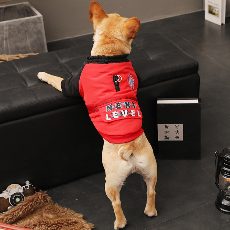 KFX-9819581 Cozy Red Pet Clothing for Small Puppies - Casual Autumn & Winter Style
