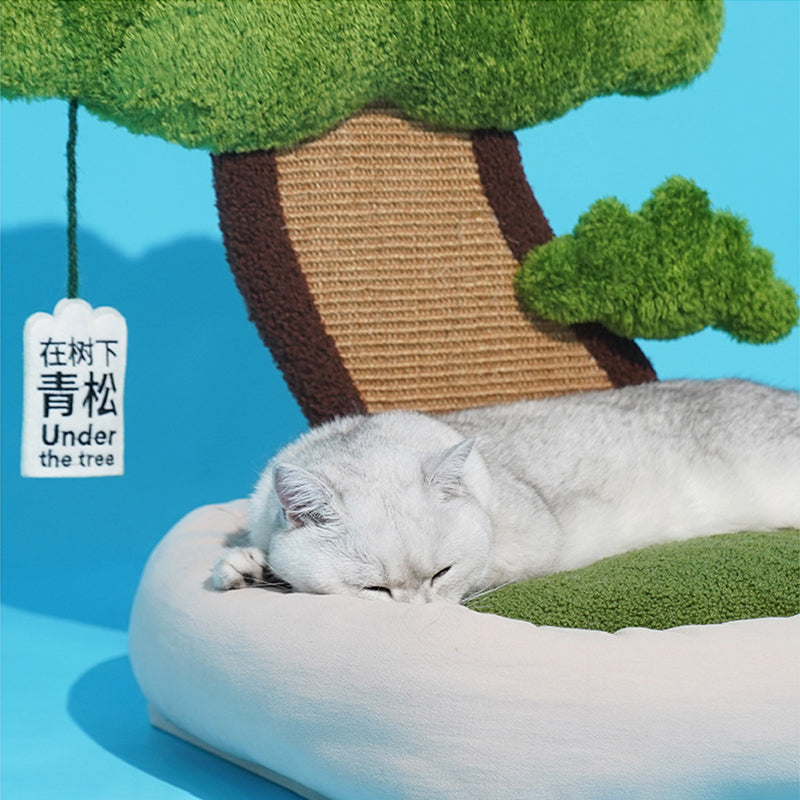 KFX-9819965 Pet Green Pine Tree Shape Cozy Cat Litter for Resting and Claw Grinding