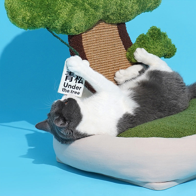 KFX-9819965 Pet Green Pine Tree Shape Cozy Cat Litter for Resting and Claw Grinding