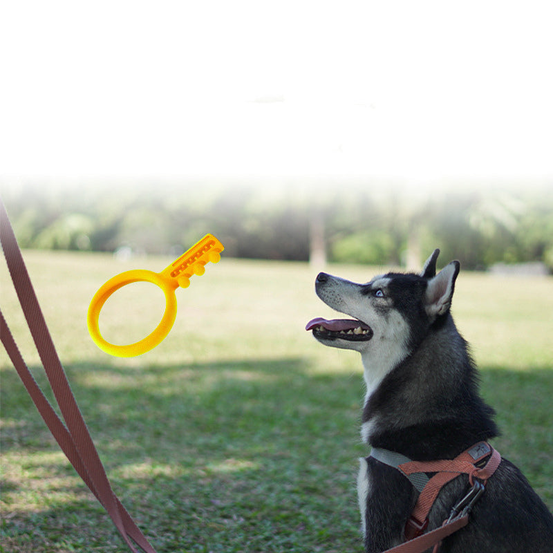 KFX-9820733 Floating Water Toy for Dogs - TPR Foam Gnawing Toy with Key Grip for Outdoor Play