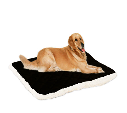 KFX-9827517 Cooling Pet Ice Silk Cushion - Multiple Sizes Available for Comfort and Support