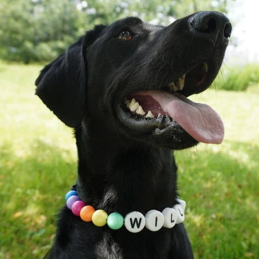 KFX-9828285 Personalized Beaded Dog Collar and Bracelet Set with Custom Name and Pearl Design