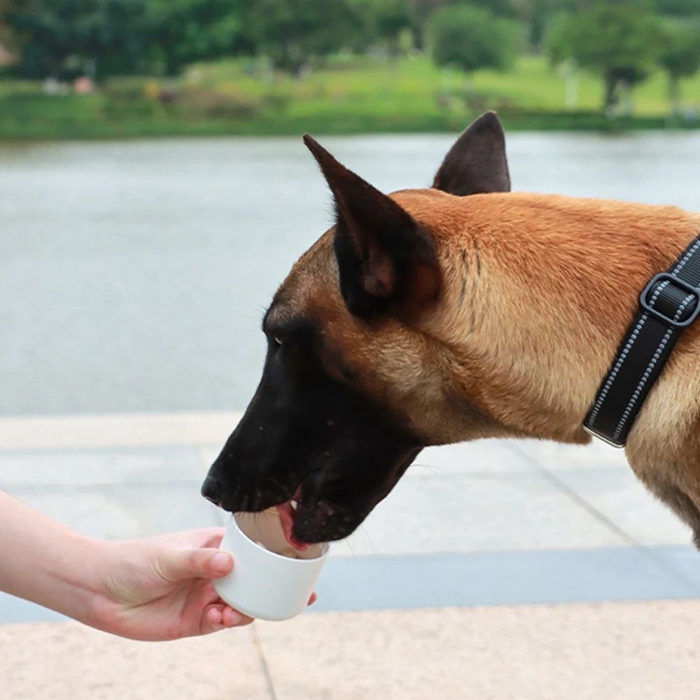 KFX-9831485 Portable Water Bottle and Food Feeder for Dogs and Cats - Ideal for Outdoor Travel