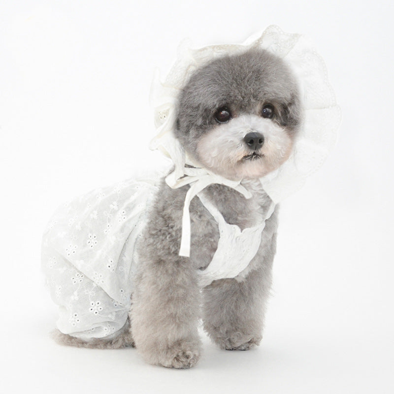 KFX-9841725 Cute Cotton Pet Hat for Puppies and Kittens - Available in Blue, White, Yellow, Sizes S, M, L