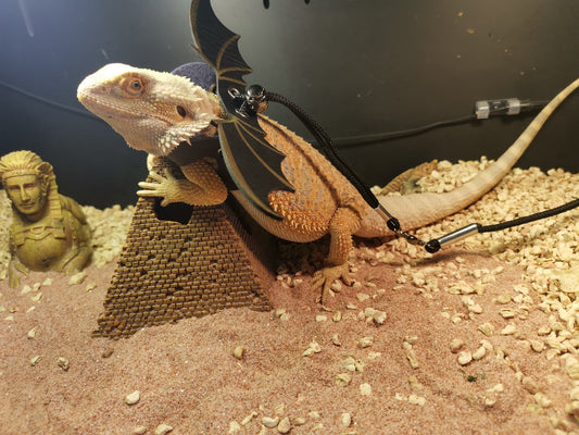 KFX-9846205 Lizard Pulling Rope with Leather Wings for Pets - 1.8m Leash Included