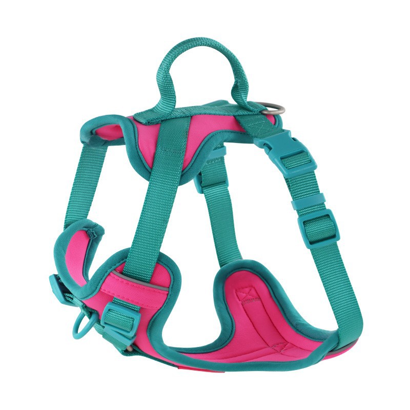 KFX-9855293 Comfortable Dog Harness and Leash Set with Adjustable Chest Strap - Multiple Colors Available