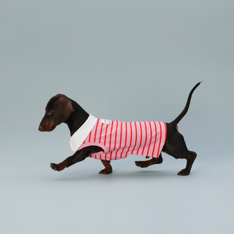 KFX-9863997 Sleeveless Red Striped Dog Vest for Small Dogs - Perfect Fit for Schnauzers and Sausages