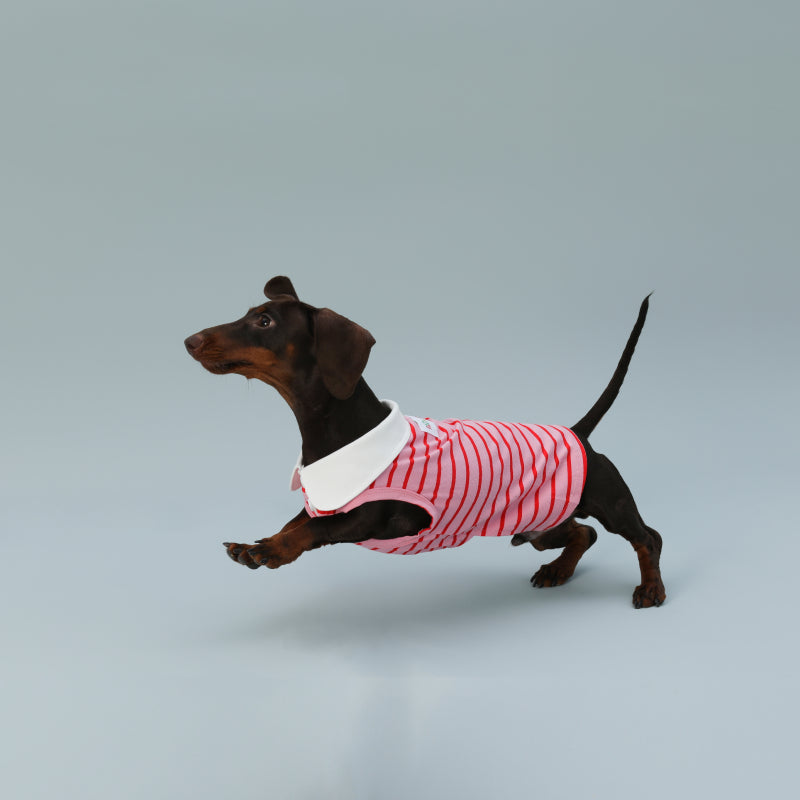 KFX-9863997 Sleeveless Red Striped Dog Vest for Small Dogs - Perfect Fit for Schnauzers and Sausages