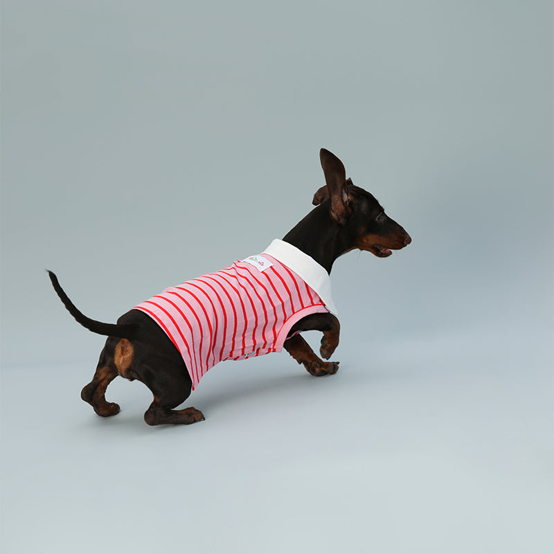 KFX-9863997 Sleeveless Red Striped Dog Vest for Small Dogs - Perfect Fit for Schnauzers and Sausages