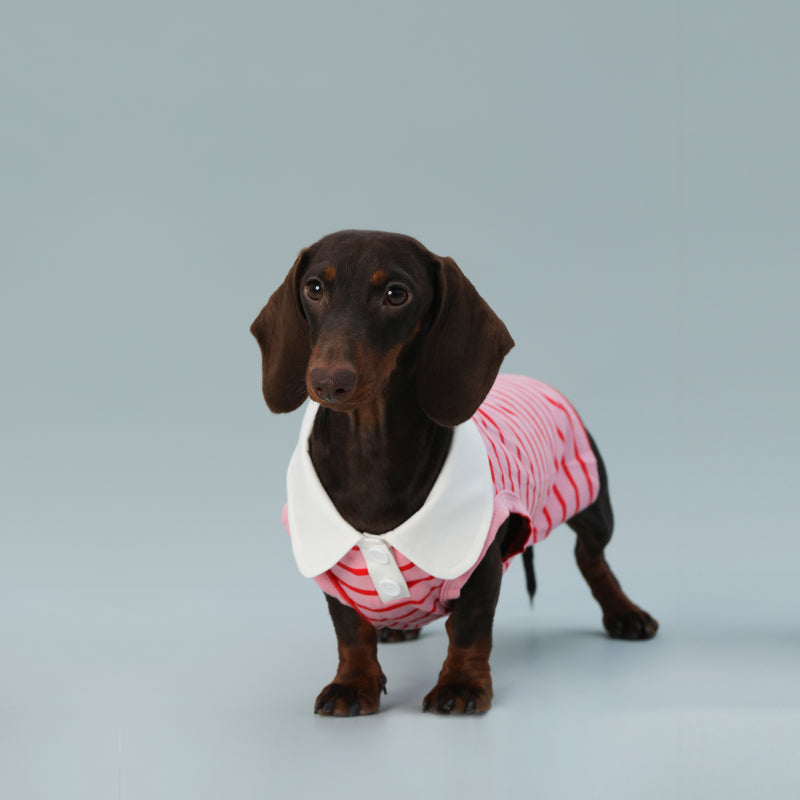 KFX-9863997 Sleeveless Red Striped Dog Vest for Small Dogs - Perfect Fit for Schnauzers and Sausages