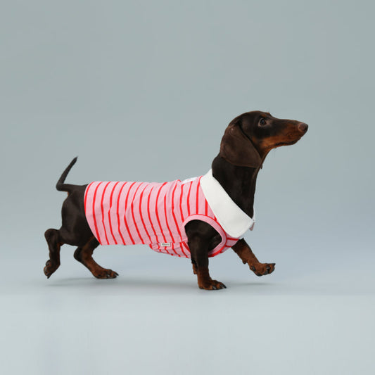 KFX-9863997 Sleeveless Red Striped Dog Vest for Small Dogs - Perfect Fit for Schnauzers and Sausages