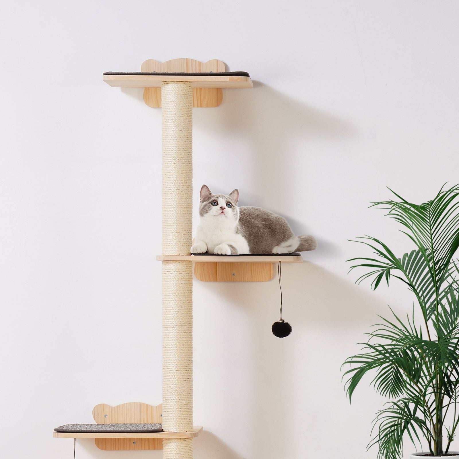 KFX-9867453 Wall Mounted Cat Shelf Tree with Climbing Platforms, Posts, and Toy Balls