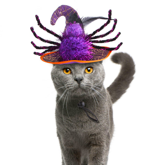 KFX-9868349 Cat Halloween Headdress in Purple, Black, and Orange - Cloth Pet Costume Accessory, Average Size