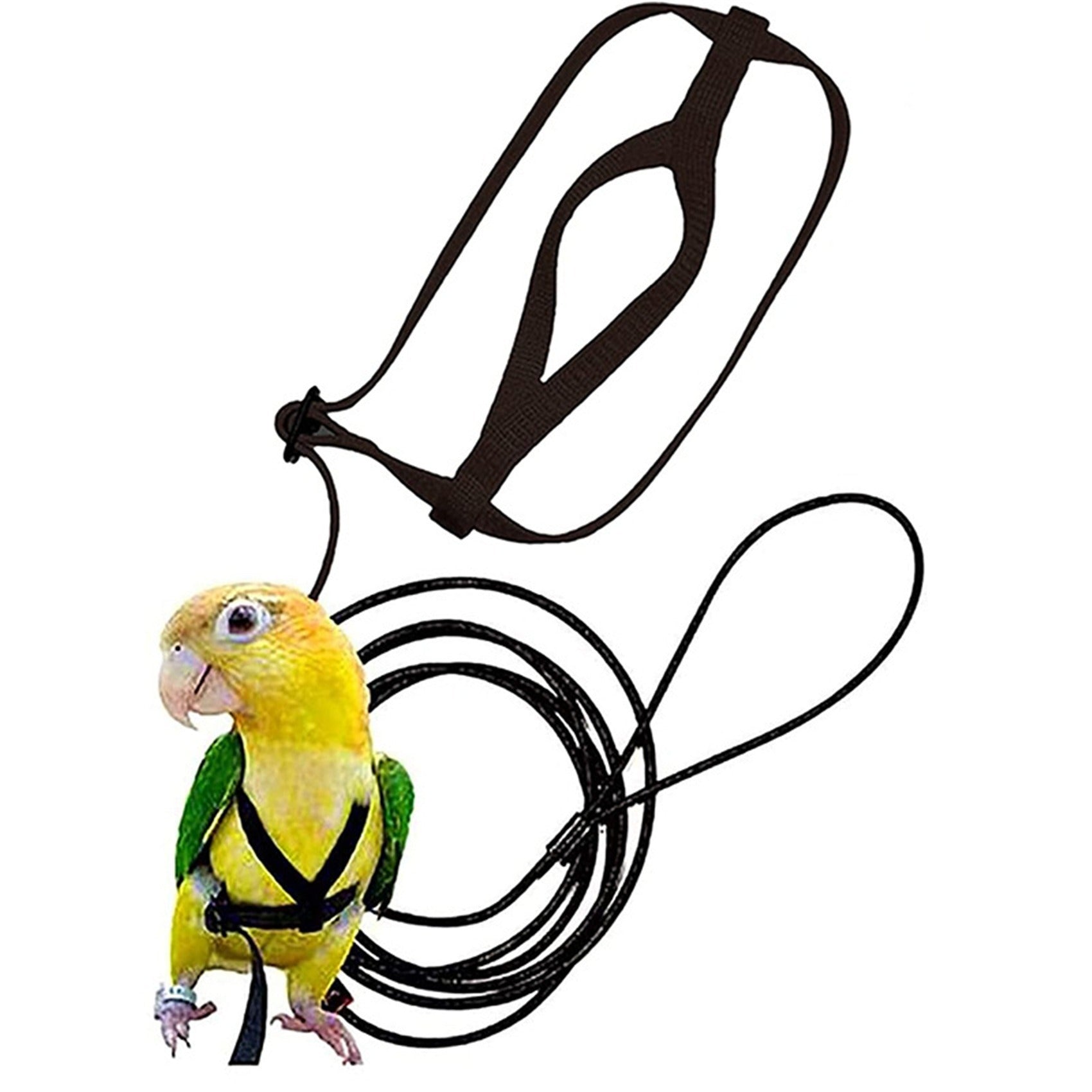 KFX-9873725 Nylon Hand Holding Rope for Parrots - Adjustable Lengths in Black, Green, Sapphire Blue, and Red