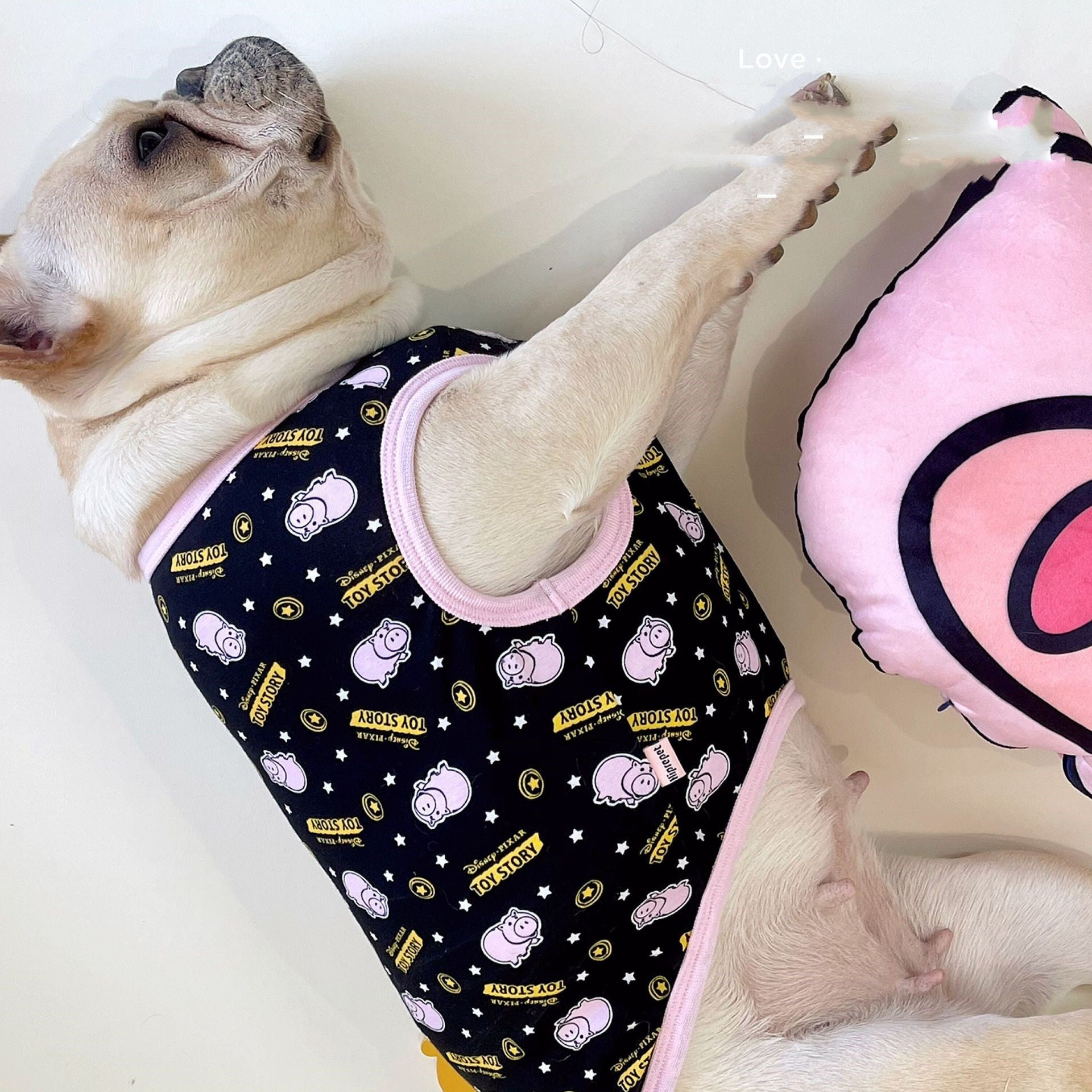 KFX-9874493 Gold Coin Pig Lycra Cotton Pet Spring and Summer Vest T-shirt, Multiple Sizes Available