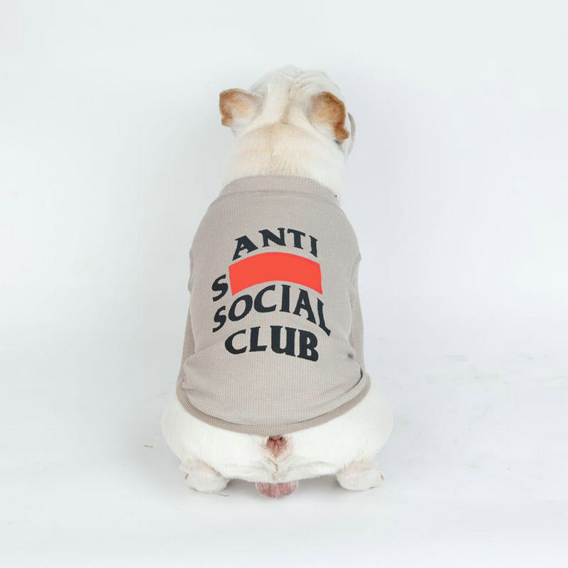 KFX-9878077 Casual Two-Legged Sweater for Dogs in Pink and Gray, Cotton Material, Multiple Sizes Available