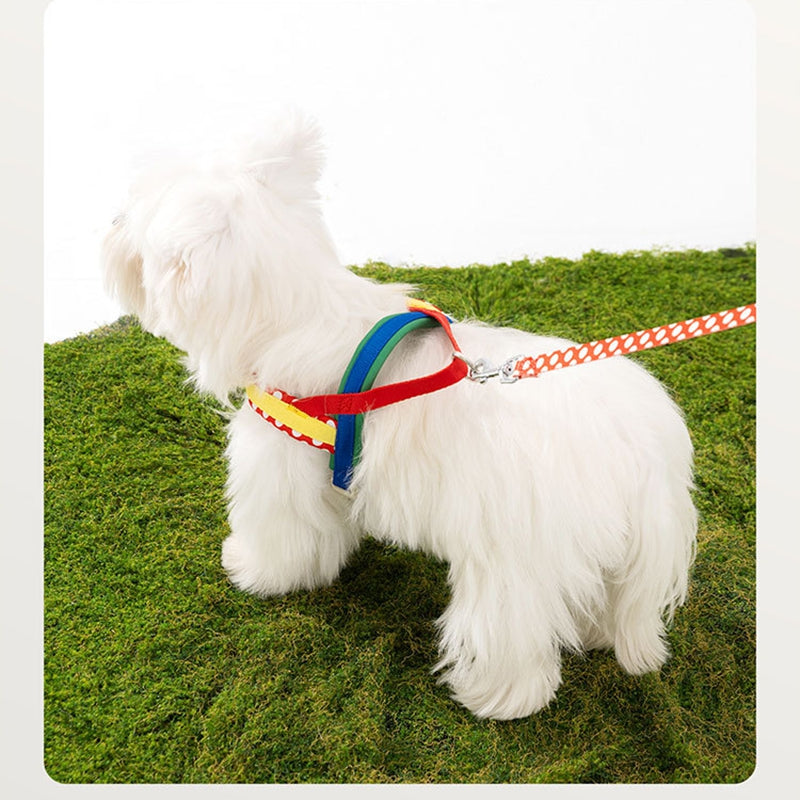 KFX-9889981 Escape-Proof Colorful Dog Harness & Leash Set for Small and Medium Dogs