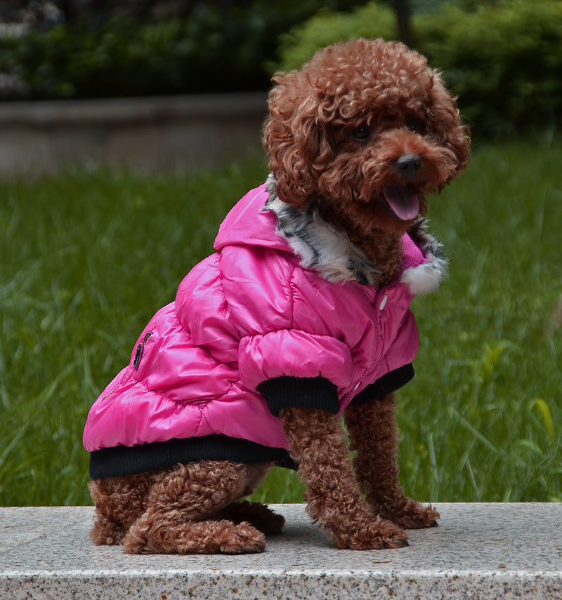 KFX-9895613 Cozy Cotton Padded Pet Clothes - Zippered Jacket for All Sizes