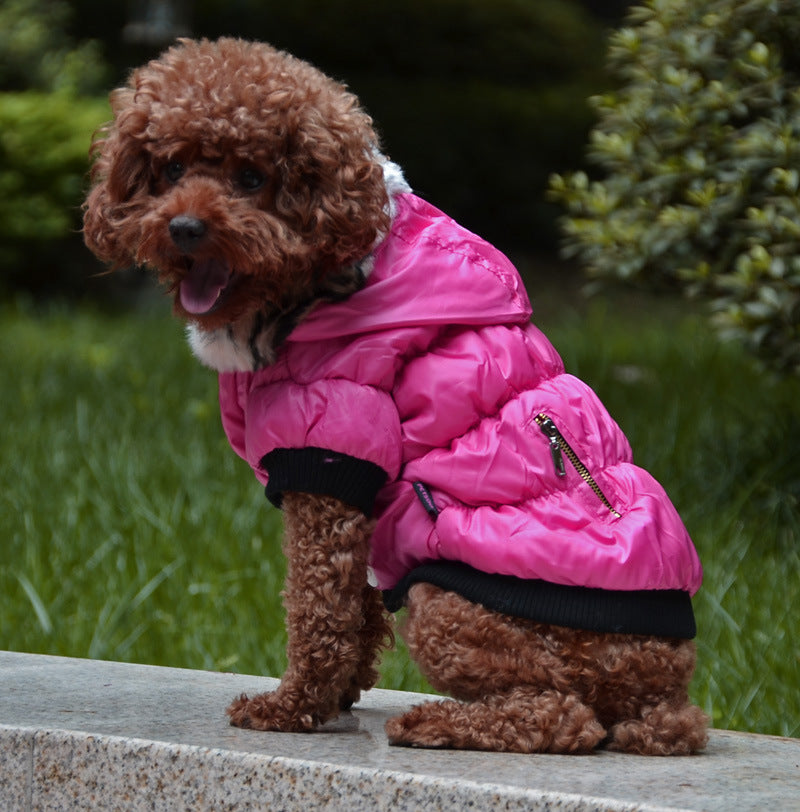 KFX-9895613 Cozy Cotton Padded Pet Clothes - Zippered Jacket for All Sizes