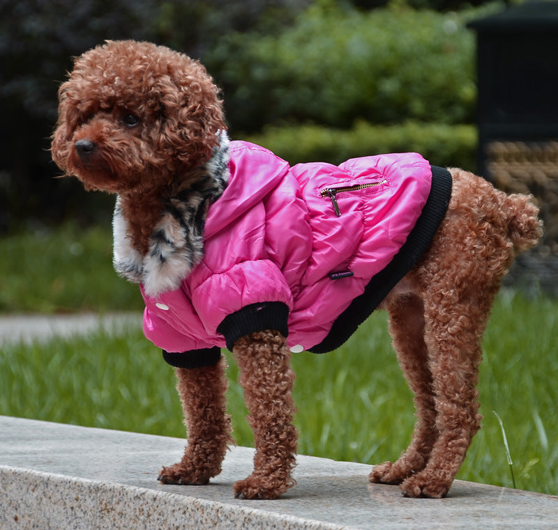 KFX-9895613 Cozy Cotton Padded Pet Clothes - Zippered Jacket for All Sizes