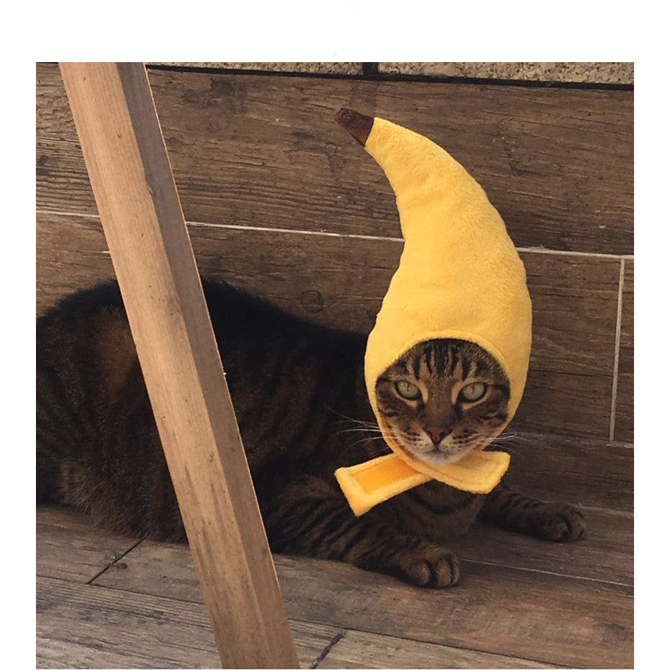 KFX-9895997 Yellow Banana Cross Hat for Medium Dogs and Pets - Adjustable Neck Circumference 30cm