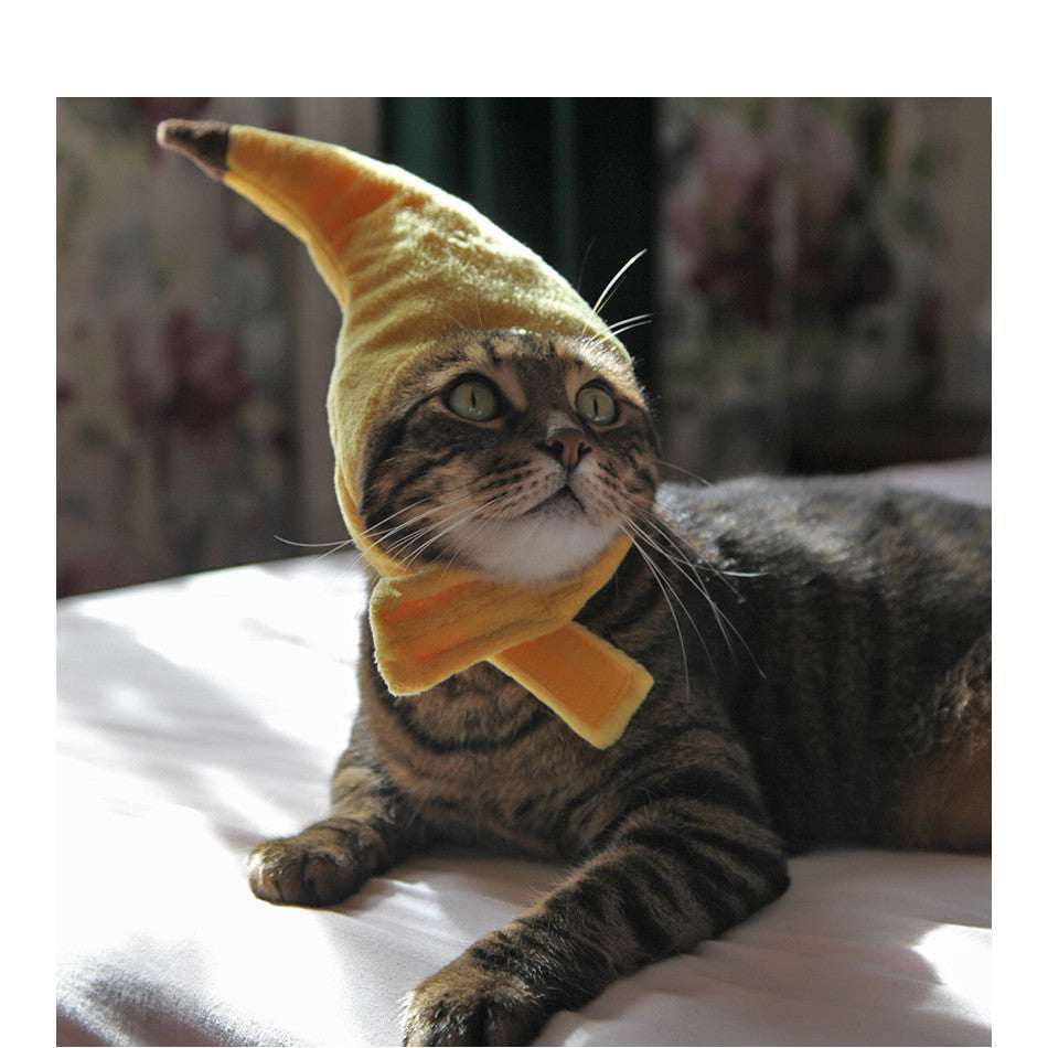 KFX-9895997 Yellow Banana Cross Hat for Medium Dogs and Pets - Adjustable Neck Circumference 30cm