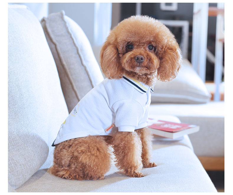 KFX-9897533 Teddy Pet Summer T-Shirt for Pets - Lightweight Nylon Fabric, Various Sizes Available
