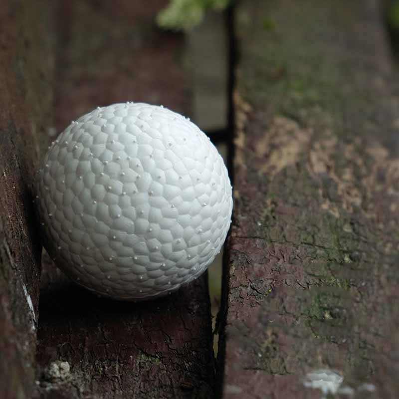 KFX-9899581 Durable ETPU Chewing Dog Toy Ball for Strong Chewers, 7CM Diameter
