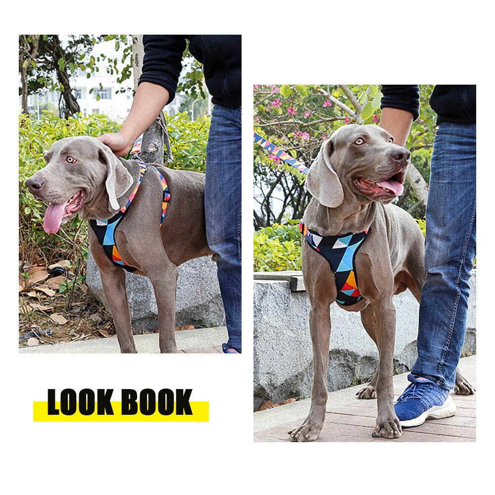KFX-9905981 Comfortable Nylon Chest Harness for Medium and Large Dogs with Adjustable Traction and Padded Design