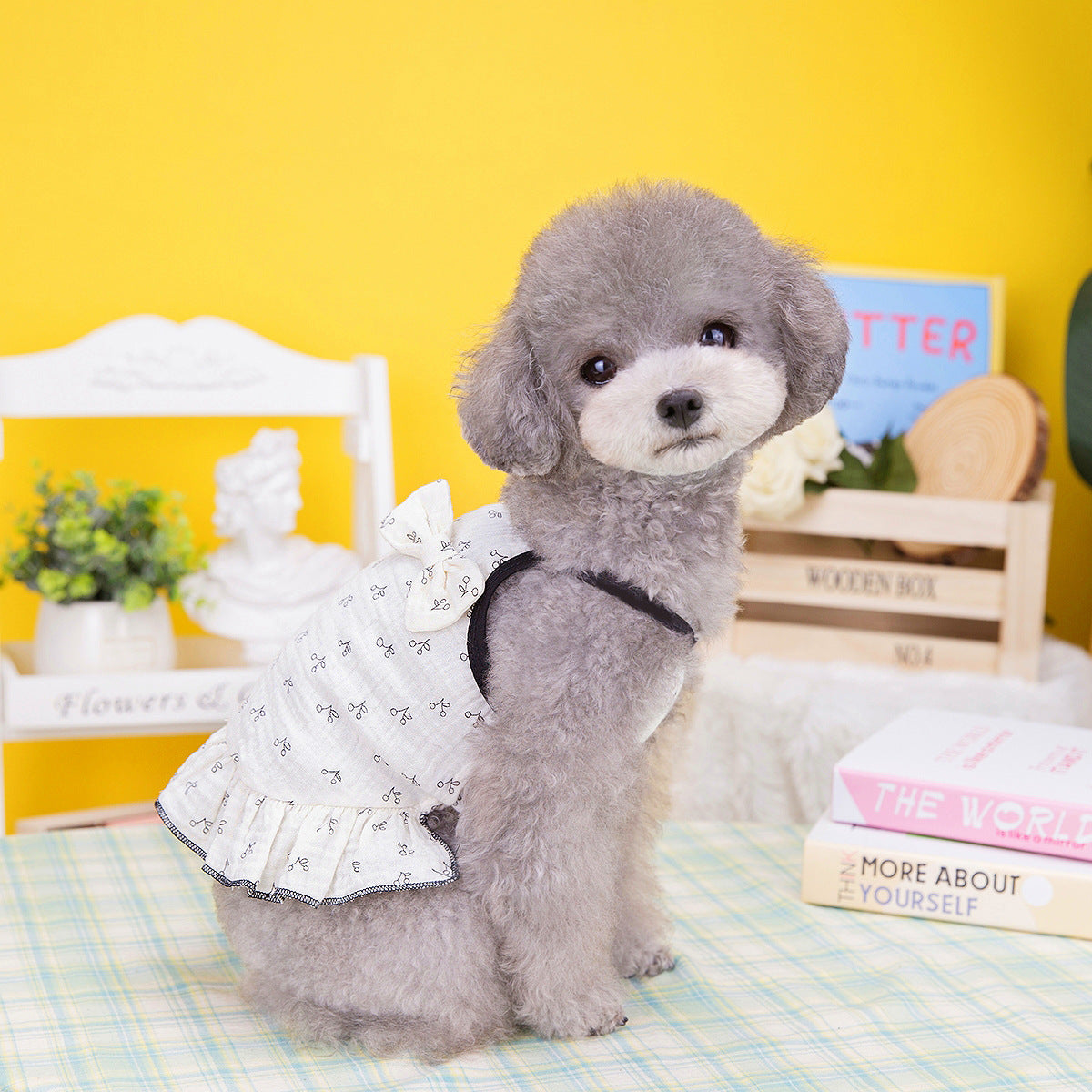 KFX-9907261 Puppy Teddy Small Dog Skirt - Cotton Princess Pet Clothing in Bear and Cherry Colors