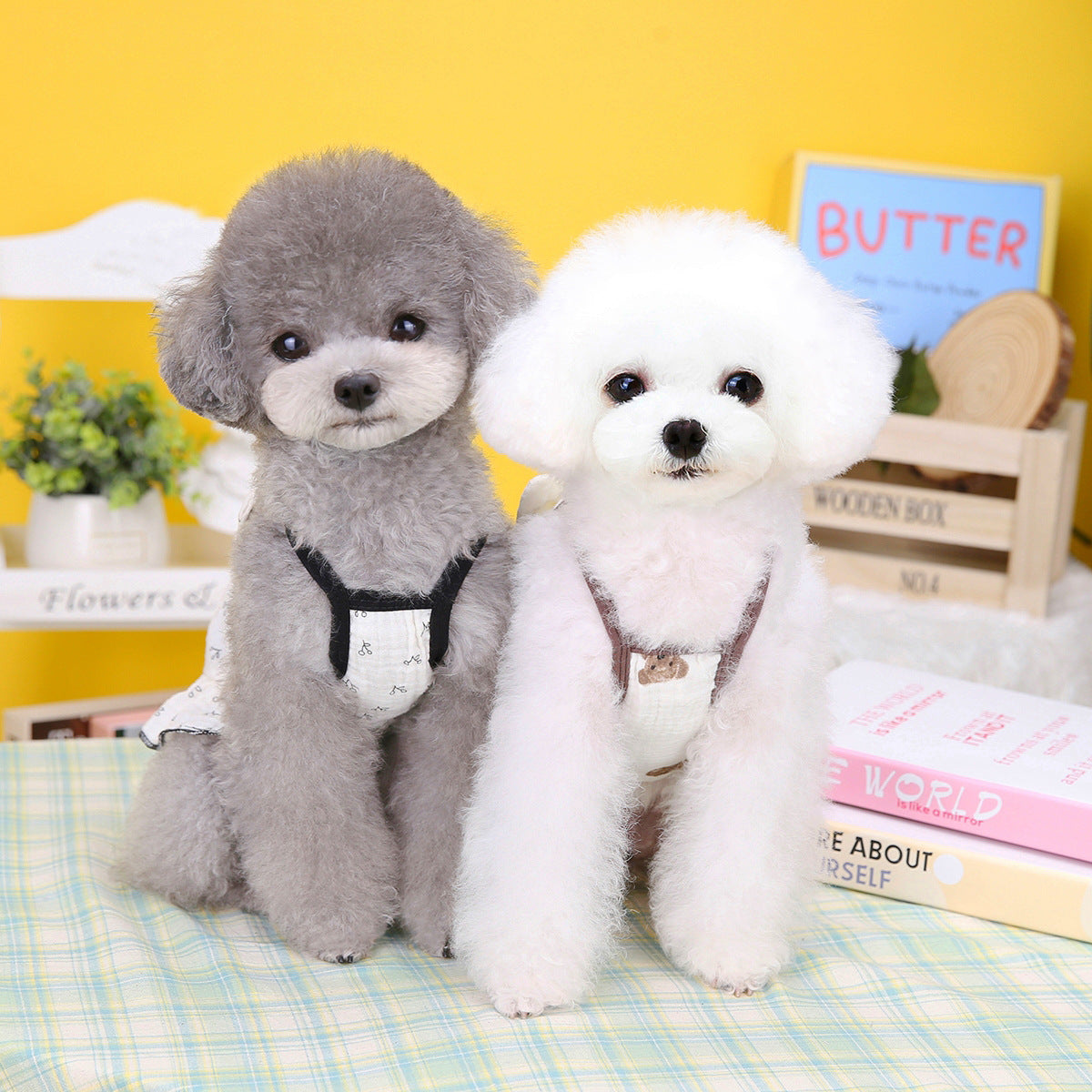 KFX-9907261 Puppy Teddy Small Dog Skirt - Cotton Princess Pet Clothing in Bear and Cherry Colors